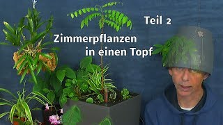 Topfbepflanzung für das Zimmer mineralisches Substrat Pflanzen vorbereiten und einpflanzen Teil 2 [upl. by Yralih]