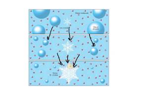 Bergeron processIce Crystal TheoryExplained [upl. by Perrin]