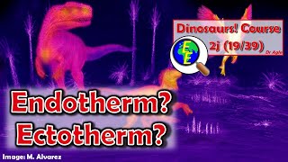 Dinosaurs Ectothermic vs Endothermic 2j  1939 [upl. by Pansie776]