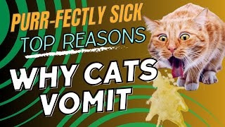 Unveiling the Mystery Why Do Cats Vomit 🐾  Exploring the Most Common Reasons [upl. by Tamberg411]