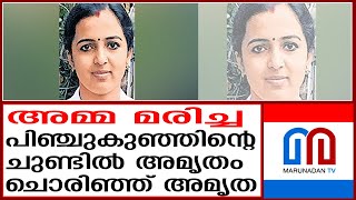 മാതൃത്വത്തിന്റെ മാതൃകയായി അമൃത എന്ന ആരോഗ്യപ്രവർത്തക  palakkad [upl. by Evod]