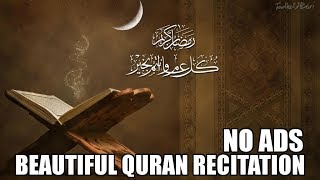 Beautiful Quran Recitation  10 Hours  No Ads [upl. by Esorylime]