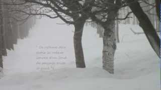 Footprints in the Snow  Des pas sur la neige  Preludes Book 1 No 6 Debussy [upl. by Revlys]