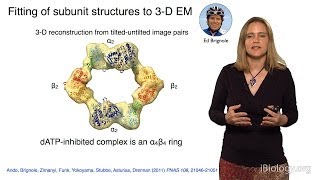 Catherine Drennan MITHHMI Part 2 Metalloproteins and Medicine [upl. by Harpp489]