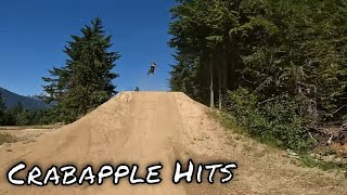 My First Time Ever Hitting All Of Crabapple Hits At The Whistler Bike Park  MTB [upl. by Areehs]