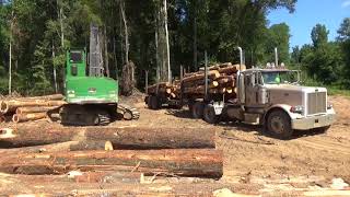 Loading pine pulpwood on a Peterbilt log truck [upl. by Gaidano]