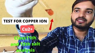 Test for copper Cu2 ion salt analysis for cation class12thpractical a2zpractical991 [upl. by Edme]