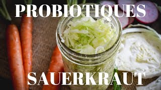 Probiotiques Sauerkraut  Legumes LactoFermentés ENGLISH SUBS [upl. by Eednas]