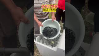 鳜鱼公分苗使用现场鱼苗计数器水产养殖 Pseudopangasius nasutus Penaeus monodon Cyprinus carpio Clarias [upl. by Bright]