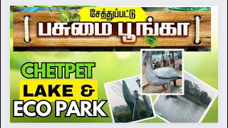 சென்னை சேத்துப்பட்டு பசுமை பூங்கா Chennai Chetpet Eco Park [upl. by Wilek]