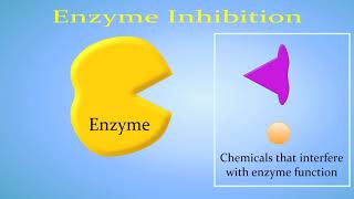 Enzyme Inhibition Competitive vs NonCompetitiveAllosteric [upl. by Anyad]