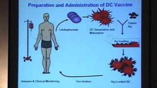 Using Dendritic Cells to Create Cancer Vaccines [upl. by Nnylyak]