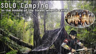 CAMPING Hujan Deras di Dalam Hutan Kalimantan Sambil Mancing [upl. by Eiuqnom279]