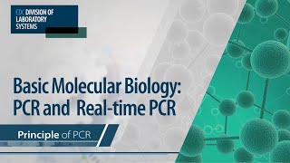 Basic Molecular Biology PCR and RealTime PCR – Principle of PCR [upl. by Rania]