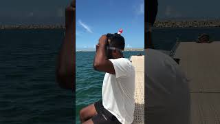 Life on the sailboat 🖤⚓️ catamaran sailing deepsea travel highlights yacht sea virlvideo [upl. by Cadmar]