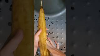 Loofah sponge production  Lufa cylindrica 2024 satisfying satisfyingvideo loofah peeling [upl. by Harberd]