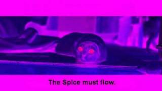 EON The Spice Must Flow 1991 [upl. by Allerie]