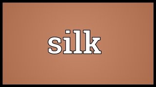 Silk Meaning [upl. by Christianity]