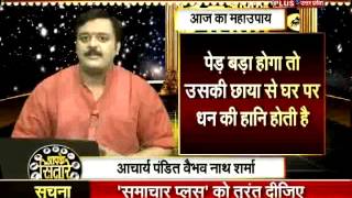 Janiye Ped Paudhe aur Vastu Ka Kya Hai Sambandh Kaise Bana Sakte Hai ye Aapko Sukhi [upl. by Boiney]