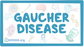 Gaucher disease  causes symptoms diagnosis treatment pathology [upl. by Anuaik]