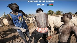 See Why The Mundari Tribe Of South Sudan No longer Shower With Their Cow Urine  African Lifestyle [upl. by Yerbua325]