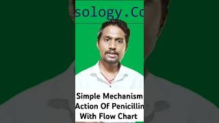 Mechanism Action Of Beta Lactam Antibiotics In pharmocolog For Bsc Nursing 4th Semester nursing [upl. by Nomannic]
