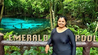 ALL THAT YOU NEED TO KNOW ABOUT THE HIDDEN GEM IN KRABI  EMERALD POOL  BLUE POOL  MUST VISIT [upl. by Flodur614]