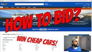 How to Bid on Cars at Copart  What Broker I Use [upl. by Aenneea]