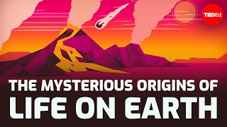 The mysterious origins of life on Earth  Luka Seamus Wright [upl. by Dearman690]