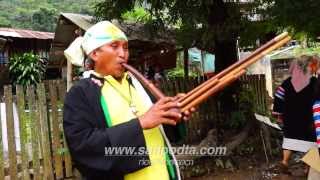 เครื่องดนตรี quotแคนquot ของชาวเขาเผ่ามูเซอดำ Instrument of the Black Lahu hill tribe in Maehongson [upl. by Findley]