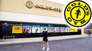 GOLDS GYM REVIEW IN 2023 IS IT WORTH IT [upl. by Stander230]