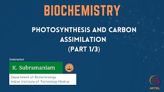 Photosynthesis and Carbon assimilation Part 13 [upl. by Ginzburg]