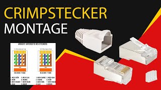 RJ45 Stecker CAT 6 mit Belegung crimpen Netzwerkkabel Belegung selber machen VESVITO [upl. by Leahcimdivad]