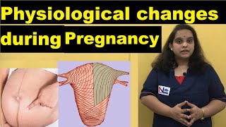 Physiological changes during Pregnancy in Hindi  Reproductive amp Skin Changes  Nursing Lecture [upl. by Tiphane235]