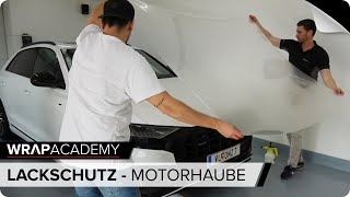 Motorhaube mit Lackschutzfolie folieren wrapacademy [upl. by Ariad]