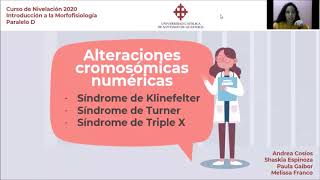 Alteraciones Cromosómicas Numéricas Síndrome de Klinefelter Síndrome de Turner y Síndrome Triple X [upl. by Neeliak]