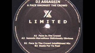 DJ Assassin  A Face In the Crowd [upl. by Iarahs453]