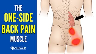 The OneSide Lower Back Pain Muscle How to Release It for INSTANT RELIEF [upl. by Ecar]