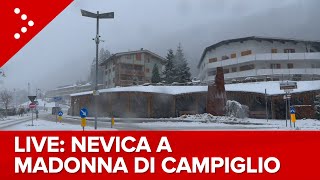 LIVE Nevicata in corso a Madonna di Campiglio diretta video [upl. by Niriam]