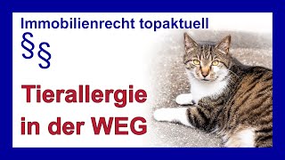 Tierallergie in der Eigentumswohnung  Einzelschicksal  Tutorial [upl. by Lory]