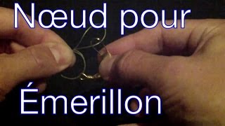 PÊCHE  Nœud pour Emerillon nœud palomar [upl. by Flss]