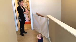 Dream Baby Gate  Product Review [upl. by Rawna]