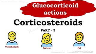 Corticosteroids Part 3  Glucocorticoid Actions  Pharmacology  Antiinflammatory  Antianabolic [upl. by Havener]