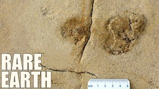 Does this Footprint Prove Humans Originated in Europe [upl. by Atse]