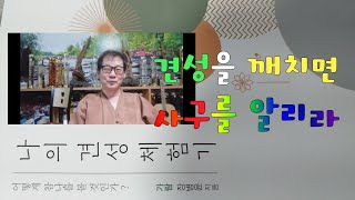 살활동시를 깨치면조사들과의 선문답에 막힘이 없으리라900회 선요 13 제 13강의 [upl. by Guerra]