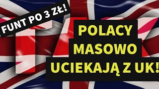 Zapaść Cen Domów 149 Upadek Cen Nieruchomości w UK [upl. by Namara718]