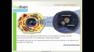 Biodoen  eigenschappen en chromosomen 3 van 5 [upl. by Anilef]