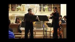 TelemannConcerto for Two Violas in G Major TWV 52 G3 [upl. by Von]