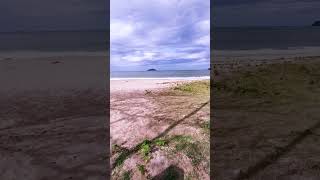 Dando aquele Rolê com o Cachorro na Praia praia passeio cachorro [upl. by Omixam779]