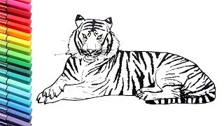 Drawing and Coloring a Tiger  How to Draw Wild Animals Color Pages for Children [upl. by Ahsek]